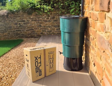 Harvest rainwater